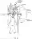 Fig. 07 - SYSTEMS AND METHODS FOR ASSESSING THE EFFICACY OF NEUROMODULATION THERAPY