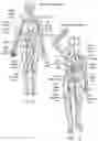 Fig. 09 - SYSTEMS AND METHODS FOR ASSESSING THE EFFICACY OF NEUROMODULATION THERAPY