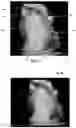 Fig. 04 - Image-based diagnostic systems
