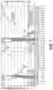 Fig. 02 - Methods and compositions to modulate the gut microbiota and to manage weight
