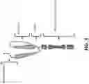 Fig. 04 - ROR-1 specific chimeric antigen receptors and uses thereof