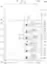 Fig. 01 - Packaged oral care implement and packaged set thereof