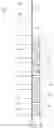 Fig. 05 - Packaged oral care implement and packaged set thereof