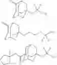 Fig. 41 - ONIUM SALT COMPOUND, CHEMICALLY AMPLIFIED RESIST COMPOSITION AND PATTERNING PROCESS