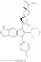 Fig. 565 - Modulators of alpha-1 antitrypsin