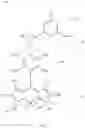 Fig. 04 - Physiologically stable fluorophore and performing fluorescence probing