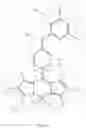 Fig. 05 - Physiologically stable fluorophore and performing fluorescence probing