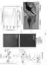 Fig. 08 - Physiologically stable fluorophore and performing fluorescence probing