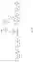 Fig. 20 - Physiologically stable fluorophore and performing fluorescence probing