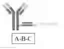 Fig. 02 - Nucleic acid-polypeptide compositions and uses thereof