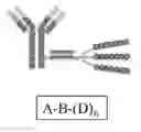 Fig. 09 - Nucleic acid-polypeptide compositions and uses thereof