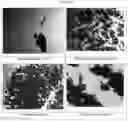 Fig. 02 - Dispersions comprising high surface area nanotubes and discrete carbon nanotubes