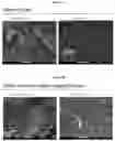 Fig. 05 - Dispersions comprising high surface area nanotubes and discrete carbon nanotubes