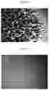Fig. 11 - Dispersions comprising high surface area nanotubes and discrete carbon nanotubes
