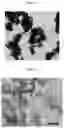 Fig. 12 - Dispersions comprising high surface area nanotubes and discrete carbon nanotubes