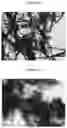 Fig. 13 - Dispersions comprising high surface area nanotubes and discrete carbon nanotubes