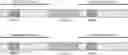 Fig. 01 - Engineered meganucleases specific for recognition sequences in the Hepatitis B virus genome