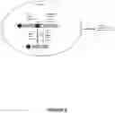 Fig. 07 - Engineered meganucleases specific for recognition sequences in the Hepatitis B virus genome