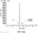 Fig. 15 - SYNTHETIC RNAS AND METHODS OF USE