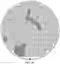 Fig. 05 - Fail Density-Based Clustering for Yield Loss Detection