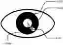 Fig. 01 - Methods, systems, and media for anti-spoofing using eye-tracking
