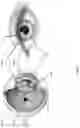 Fig. 15 - Methods, systems, and media for anti-spoofing using eye-tracking