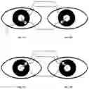 Fig. 16 - Methods, systems, and media for anti-spoofing using eye-tracking