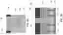 Fig. 03 - Gate cut isolation including air gap, integrated circuit including same and related method