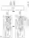 Fig. 09 - Phased array antenna