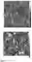 Fig. 06 - Mixture of polymers, lubricating fluid and porous materials comprising said mixture, and surface bearing said mixture