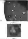Fig. 04 - HYBRID CMP CONDITIONING HEAD