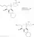 Fig. 197 - Macrocyclization reactions and intermediates and other fragments useful in the synthesis of analogs of halichondrin B
