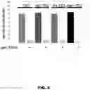 Fig. 09 - Mesothelin-targeted trail trimer