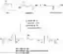 Fig. 01 - BIODEGRADABLE ACTIVATED POLYMERS FOR THERAPEUTIC DELIVERY