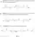 Fig. 03 - BIODEGRADABLE ACTIVATED POLYMERS FOR THERAPEUTIC DELIVERY