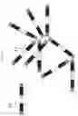 Fig. 02 - Superabsorbent structure