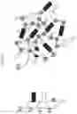 Fig. 05 - Superabsorbent structure