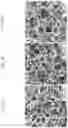Fig. 07 - Superabsorbent structure