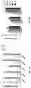 Fig. 02 - PROCESS FOR MAKING CELL POPULATIONS OF THE HEPATIC LINEAGE FROM ENDODERMAL CELLS AND CELLULAR COMPOSITIONS COMPRISING SAME