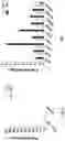 Fig. 06 - PROCESS FOR MAKING CELL POPULATIONS OF THE HEPATIC LINEAGE FROM ENDODERMAL CELLS AND CELLULAR COMPOSITIONS COMPRISING SAME