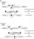 Fig. 01 - Composition for preventing or treating neurodegenerative disease