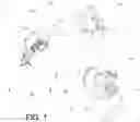 Fig. 02 - DEVICE AND METHOD TO DETERMINE THE QUALITY OF A MEAT PRODUCT