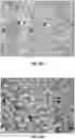 Fig. 16 - 3D/flip/motion photo-substrate, imaging processes, and applications thereof