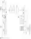 Fig. 06 - Optical body and light emitting device