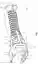 Fig. 03 - Flexible push-pull boot with a transition member