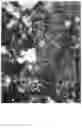 Fig. 08 - Porous catalyst, catalyst layer for fuel cell, electrode, membrane electrode assembly and fuel cell, and method for producing porous catalyst