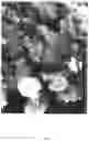 Fig. 09 - Porous catalyst, catalyst layer for fuel cell, electrode, membrane electrode assembly and fuel cell, and method for producing porous catalyst