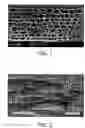 Fig. 02 - Separators, batteries, systems, vehicles, and related methods