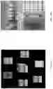 Fig. 09 - STEREO OMNIDIRECTIONAL FRAME PACKING