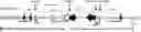Fig. 01 - Non-human animals expressing exogenous terminal deoxynucleotidyltransferase